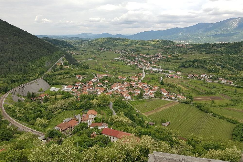 Branik1