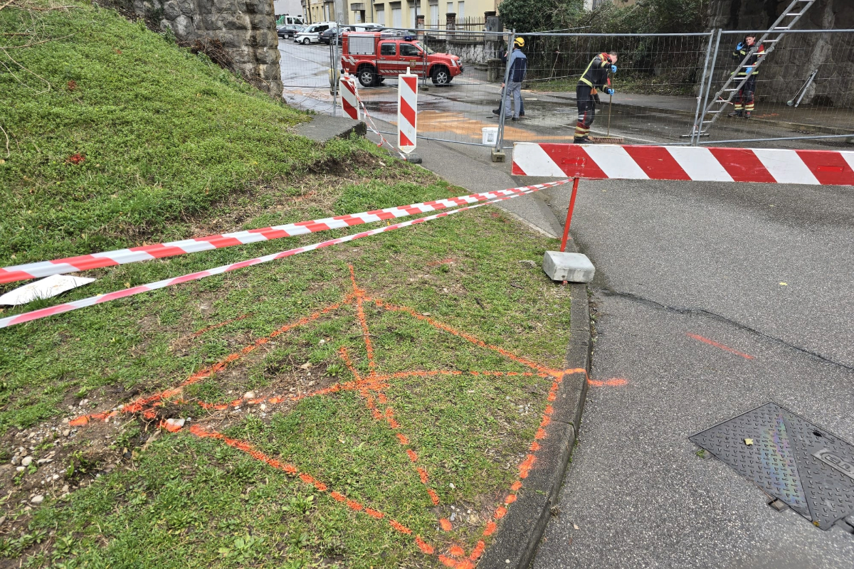 Adobe Express File (1)