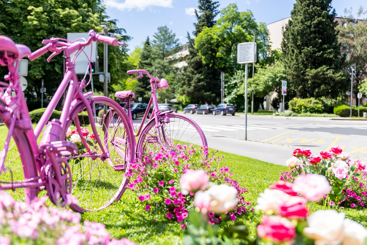 Asimong vrtnice+kolesa giro fotoanarojc 6