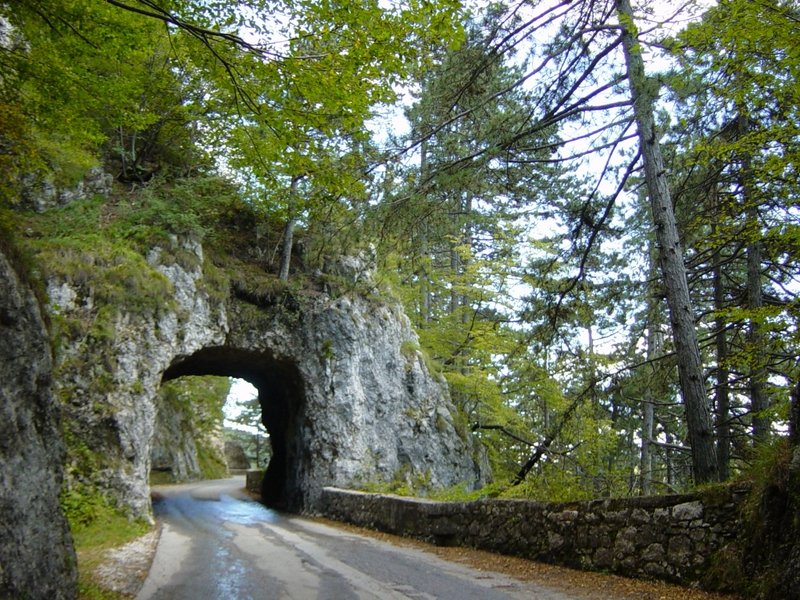 Predmeja cesta