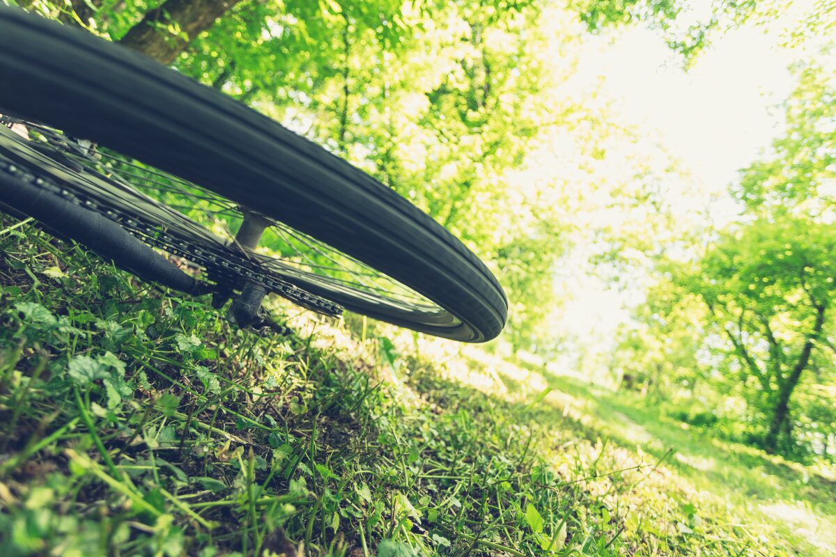 Naslovna prispevek 1200x800 2025 09 09t154211.782