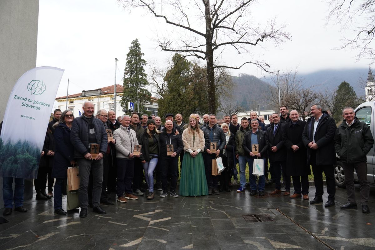 Najbolj skrbni lastniki gozda