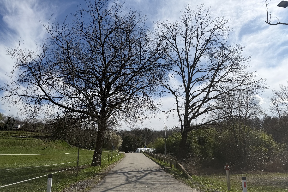 Vrtojba botanicni park