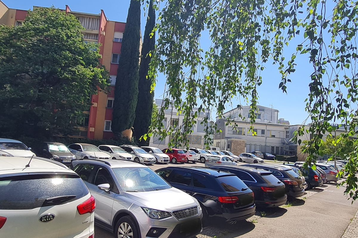 Cankarjeva targe zbrisane