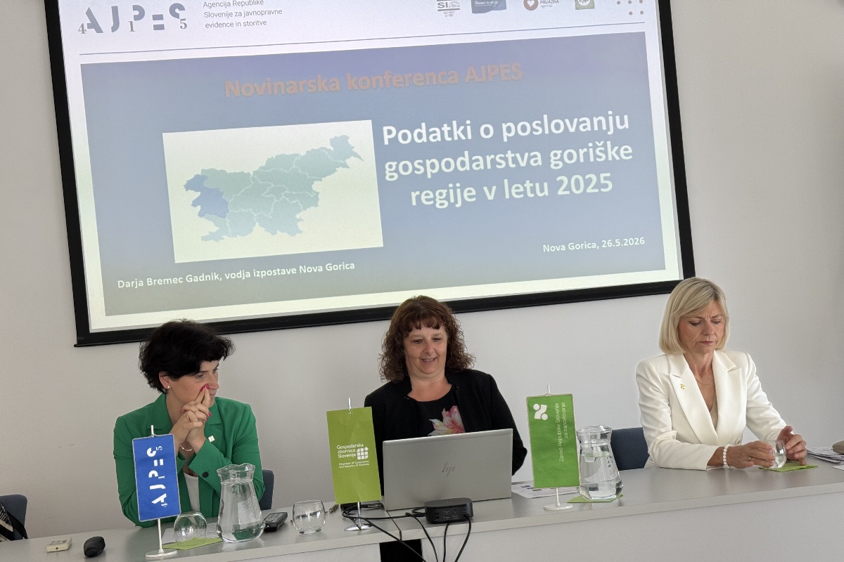 Goriska regija uspesnost poslovanja