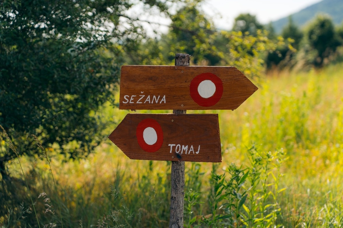 V osrcju dezele terana