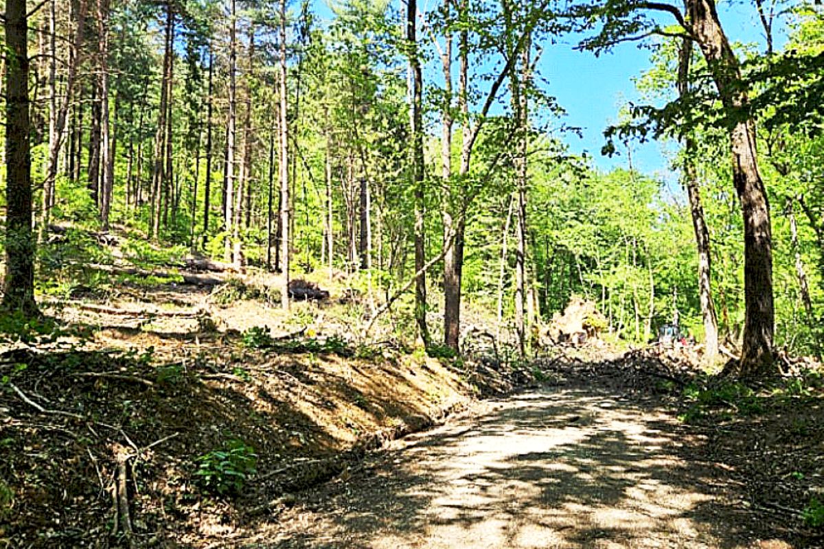 PANOVEC VETROLOM