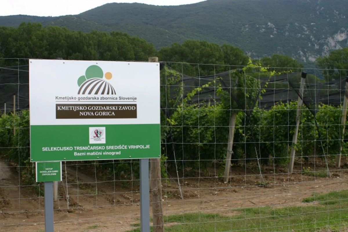 TRS VRHPOLJE