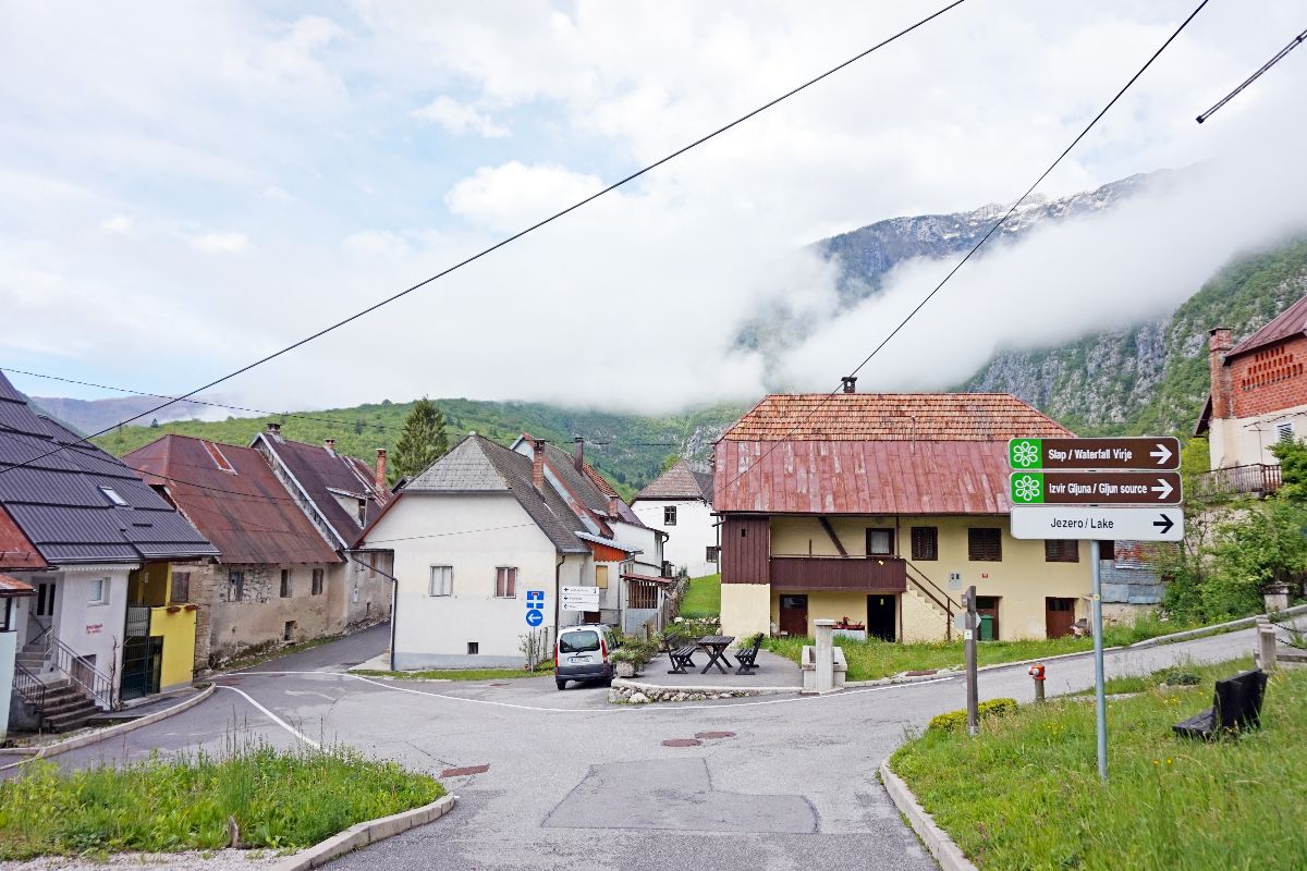 Pluzna