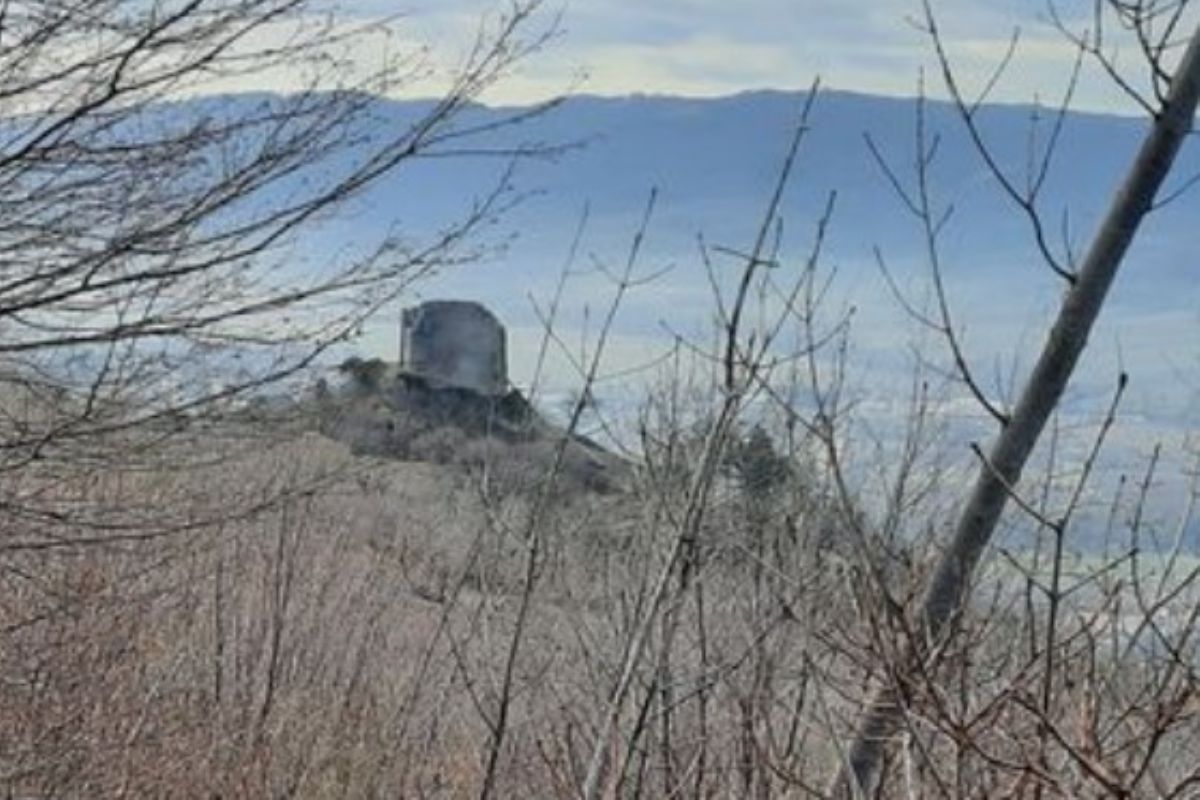 Vipava stari grad