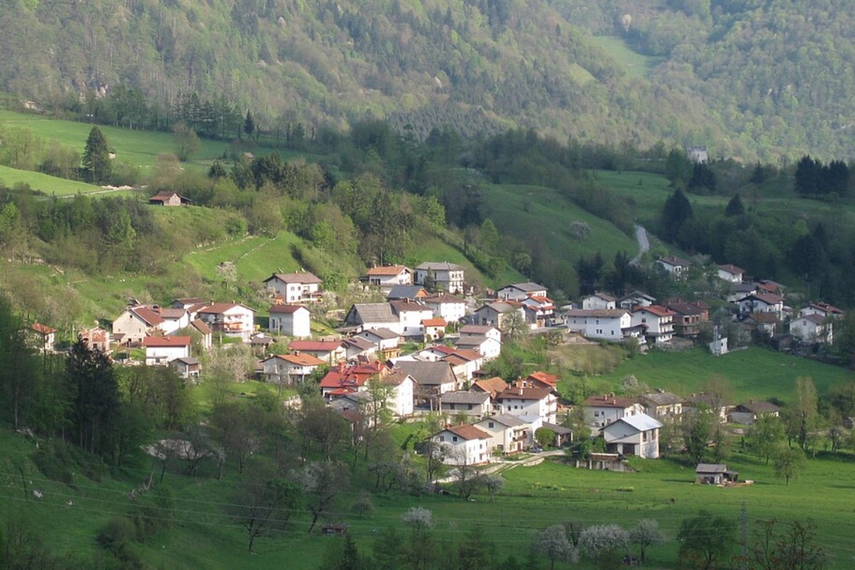 Zabce